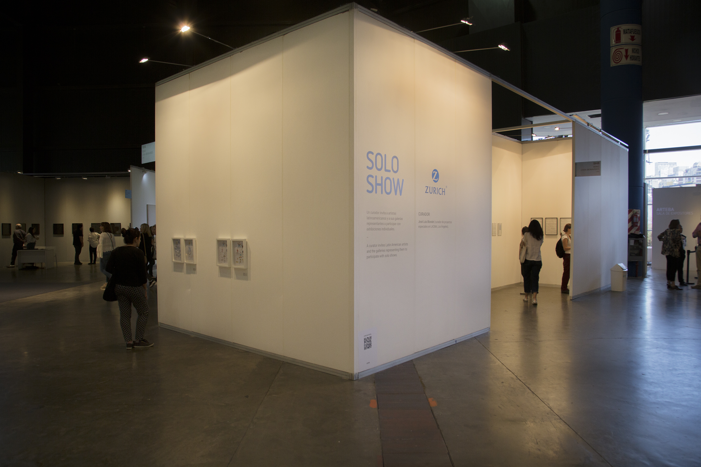 Solo Show Zurich, el espacio curatorial en arteBA