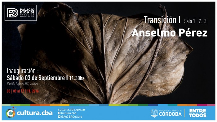 Transición I – Anselmo Pérez