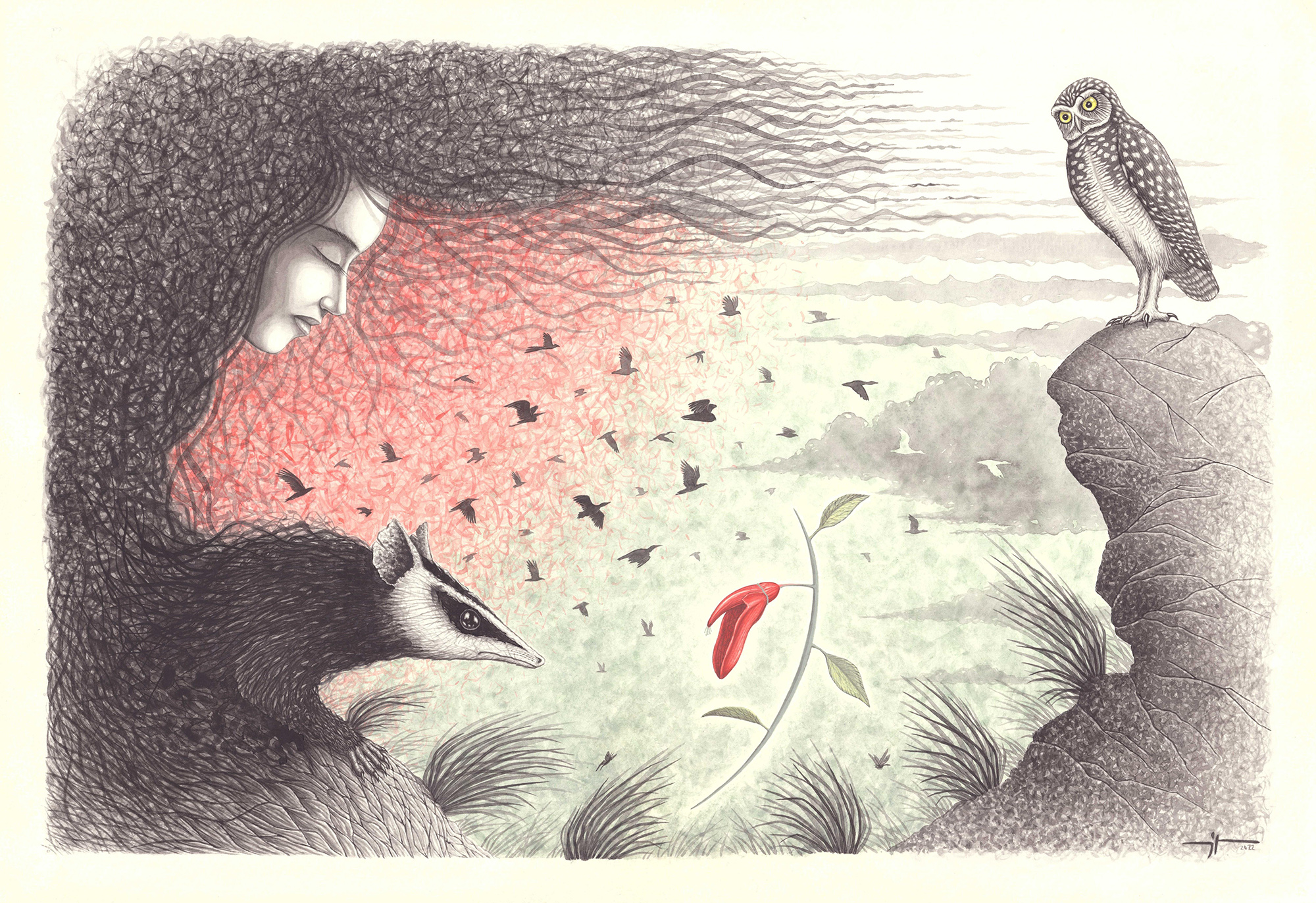 Agustín Iriart «Ecología Fantástica»